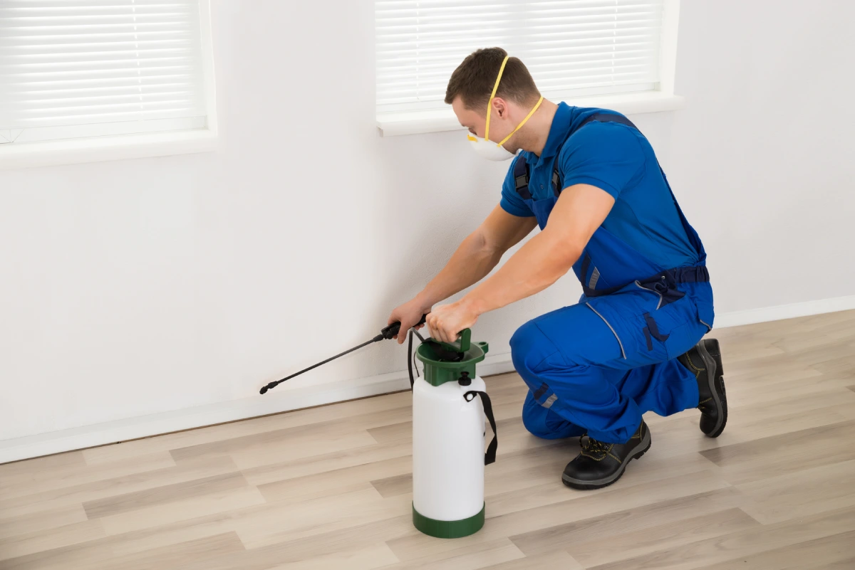 Experienced Pest Control Contractor